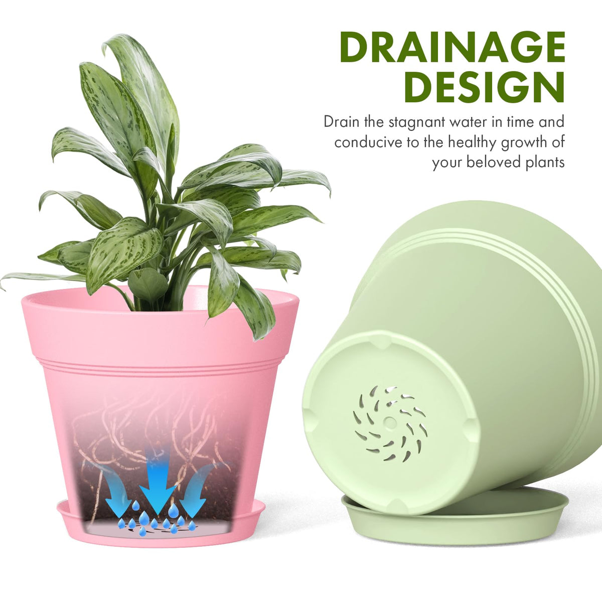 WSMKSZ seedling starter pot ideal for propagation and transplanting.