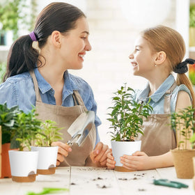 WSMKSZ self-watering pot 5.5-inch versatile for flowering plants and desks