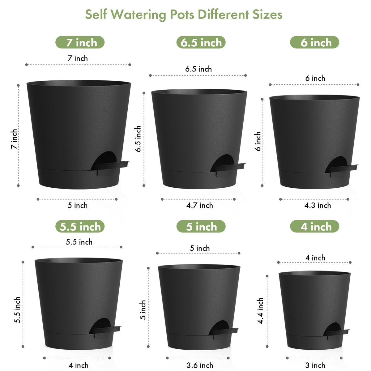 WSMKSZ self-watering pot 5-inch on a sunny shelf for compact succulents.