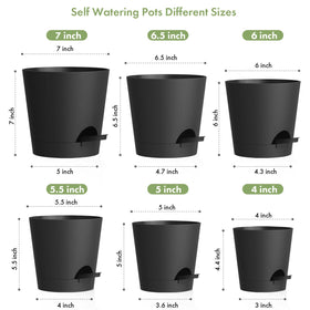 WSMKSZ self-watering pot 5-inch on a sunny shelf for compact succulents.