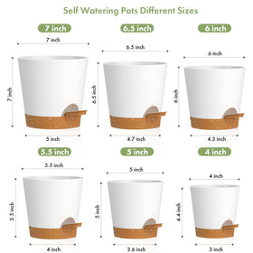 WSMKSZ self-watering pot 5-inch ideal for small herbs and succulents indoors