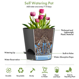 WSMKSZ self-watering pot 6.5-inch with removable saucer for clean surfaces.