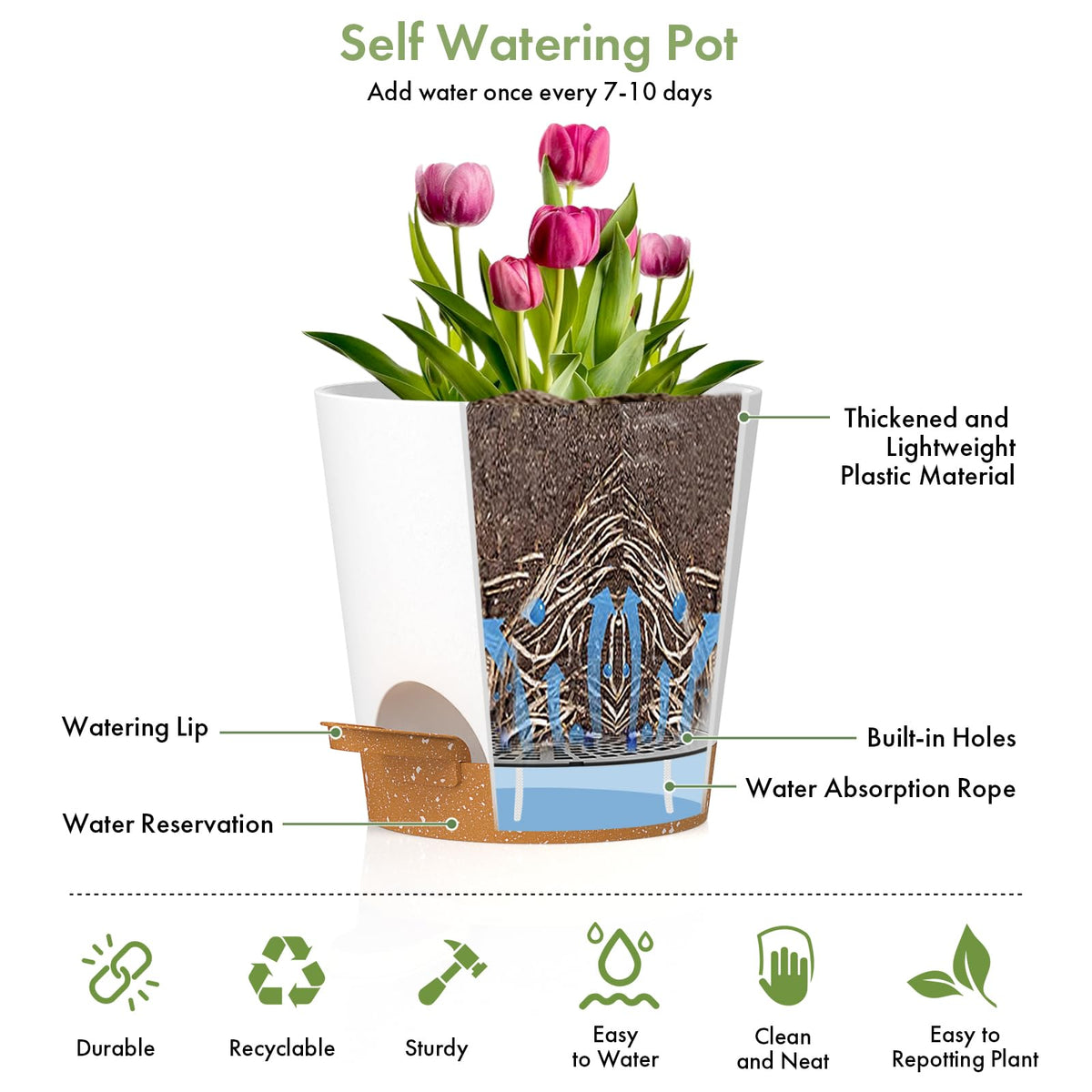 WSMKSZ self-watering pot 6.5-inch for larger greenery and bottom reservoir