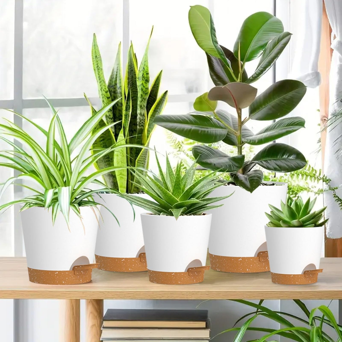 WSMKSZ self-watering pot removable saucer enables easy cleaning