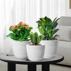 WSMKSZ set of 3 speckled white pots on display for stylish plant styling.