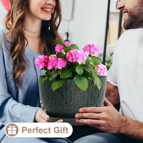 WSMKSZ stylish planter design complements home and garden décor.