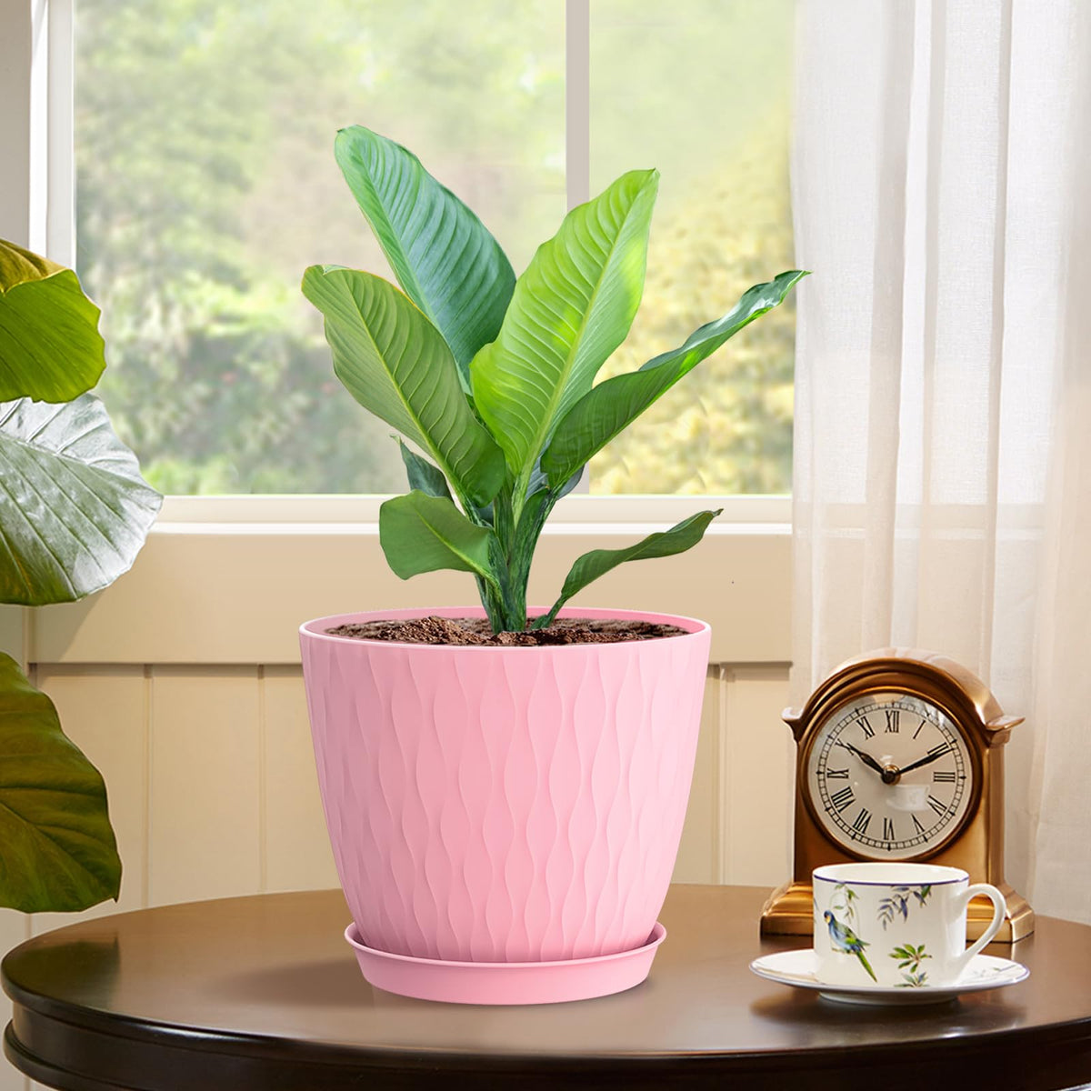 WSMKSZ succulent and herb pots ideal for small plant gardens.