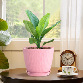 WSMKSZ succulent and herb pots ideal for small plant gardens.