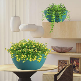 Two-pack arrangement for versatile use in garden, porch, or indoors