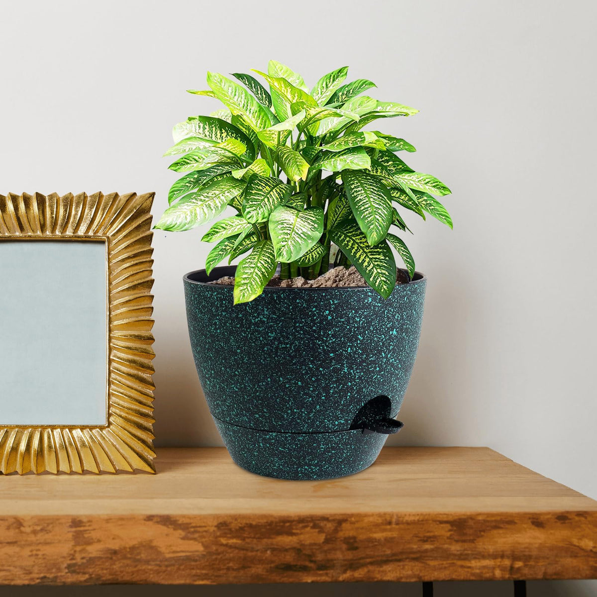 WSMKSZ two-pack planter set offers versatile indoor/outdoor use.