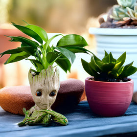 WT WINGTENG face planter multifunctional as pencil holder or decor.