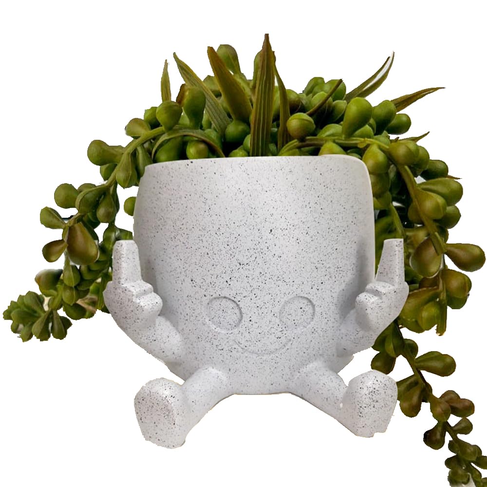 WT WINGTENG funny succulent pot with middle finger, a playful desk decor piece.