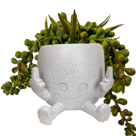 WT WINGTENG funny succulent pot with middle finger, a playful desk decor piece.