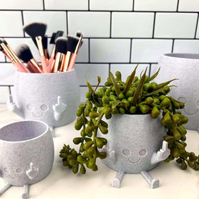 WT WINGTENG kawaii planter for indoor or outdoor use, adds personality to shelves.