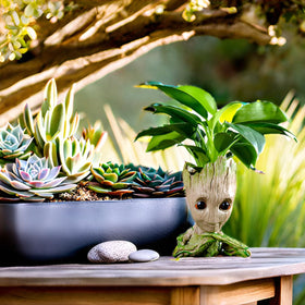 WT WINGTENG office decor planter brightens desks and shelves.