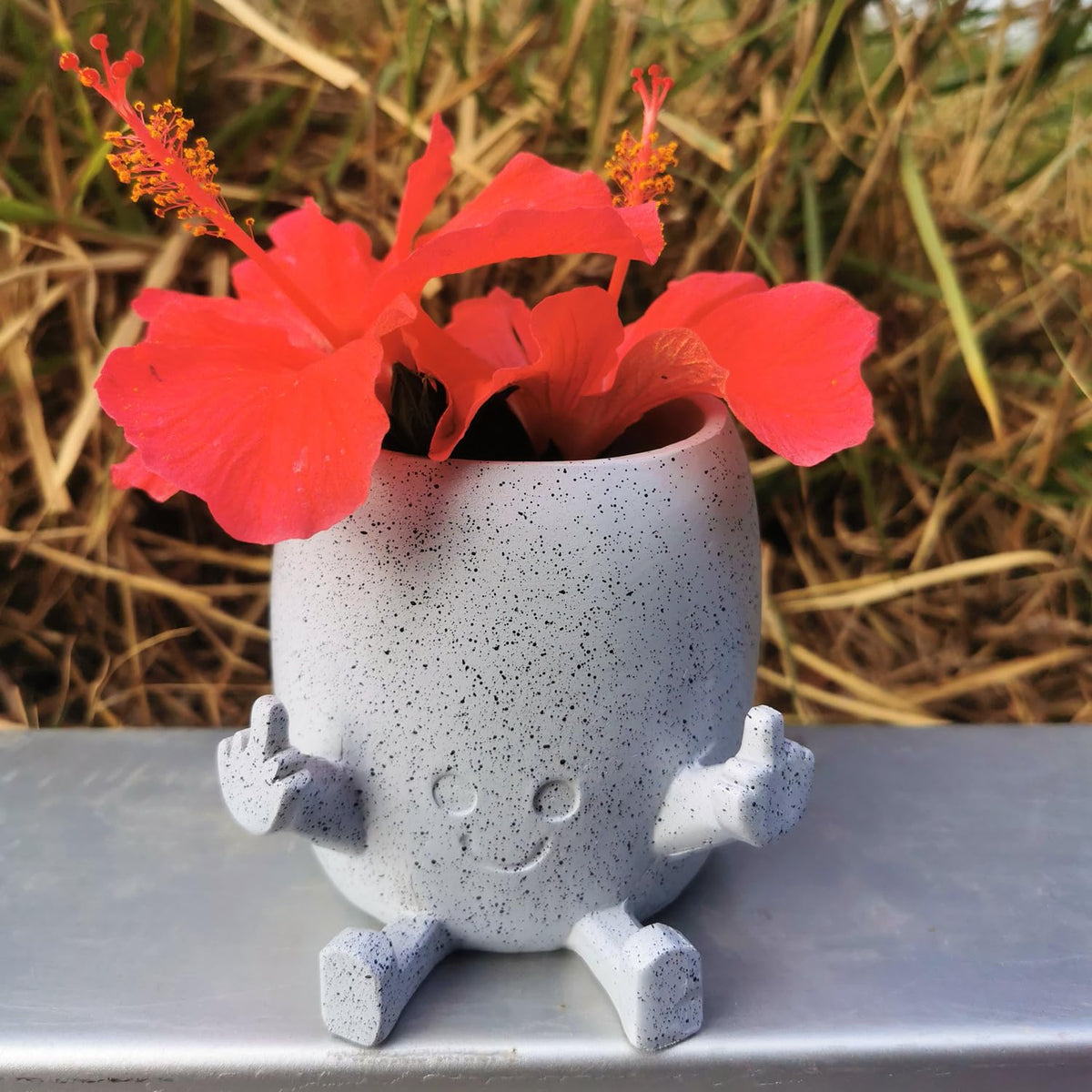 WT WINGTENG succulent planter designed for desks, countertops, or shelves.