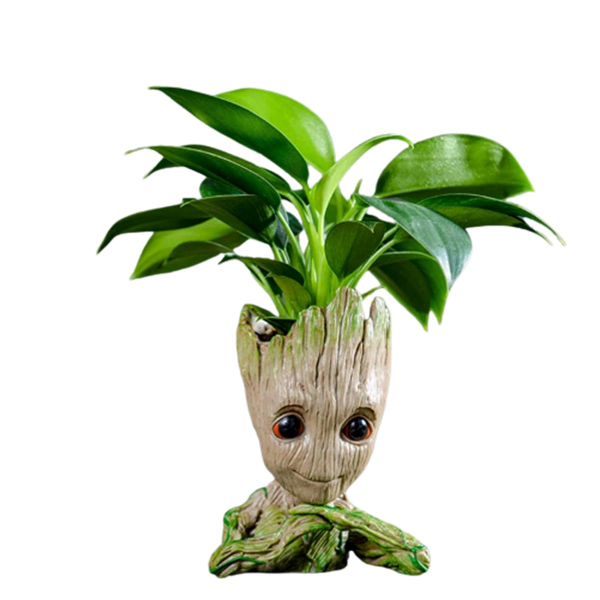 WT WINGTENG unique planter closeup with smiling face adds whimsical indoor decor.