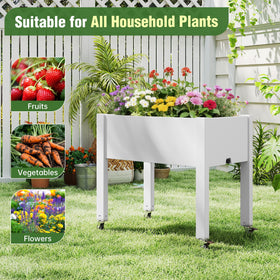 WTFGO crossbars create neat planting zones inside a single box.