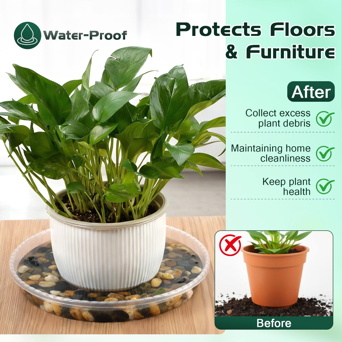 WTXHOP 9-inch clear plant saucer side view captures depth for catching drips.