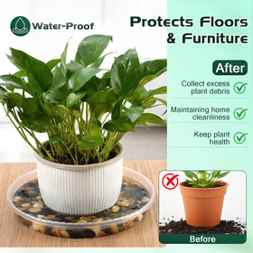 WTXHOP 9-inch clear plant saucer side view captures depth for catching drips.