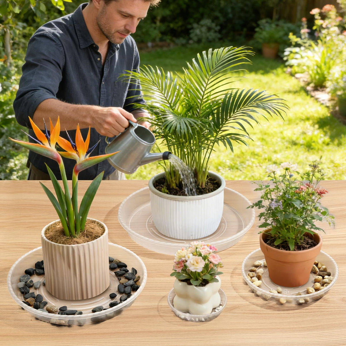 WTXHOP 9-inch clear plant saucer for indoor outdoor use guards against spills.