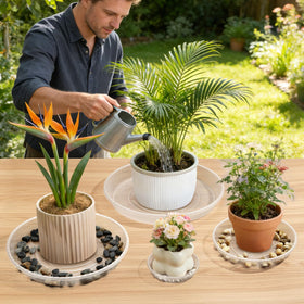 WTXHOP 9-inch clear plant saucer for indoor outdoor use guards against spills.