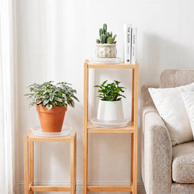 WTXHOP 9-inch clear plant saucer on wooden table protects floors from moisture.