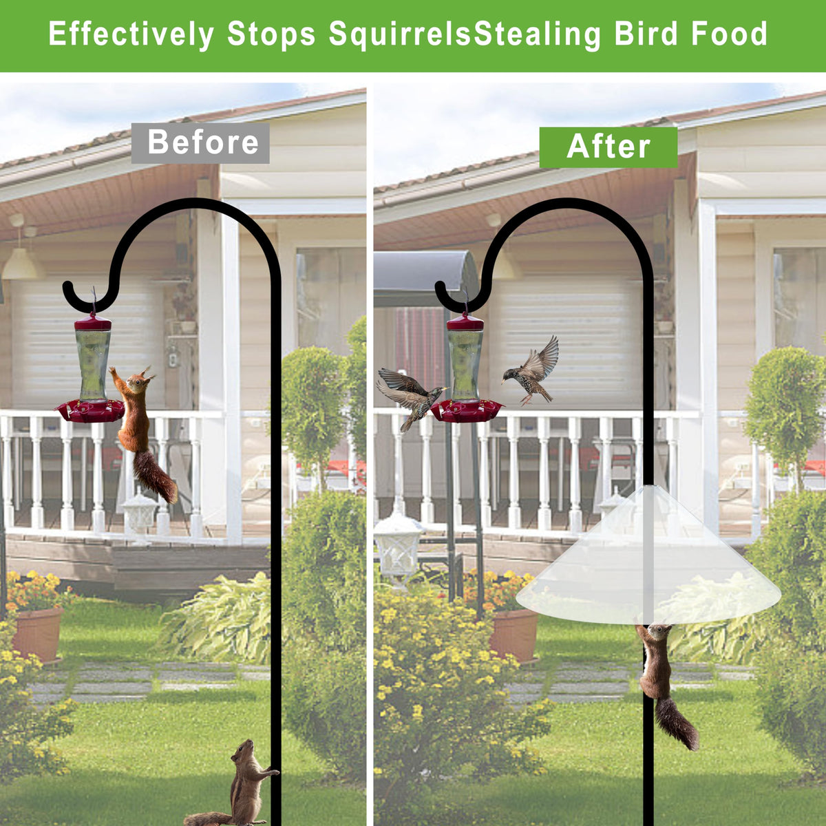 WUCYLKA Squirrel Baffle transparent appearance blends with outdoors