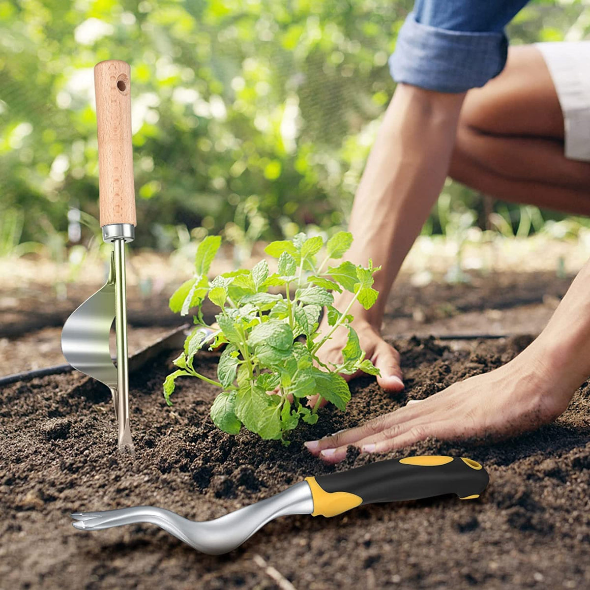 Wugongshan root-digging tip loosens soil around tough roots
