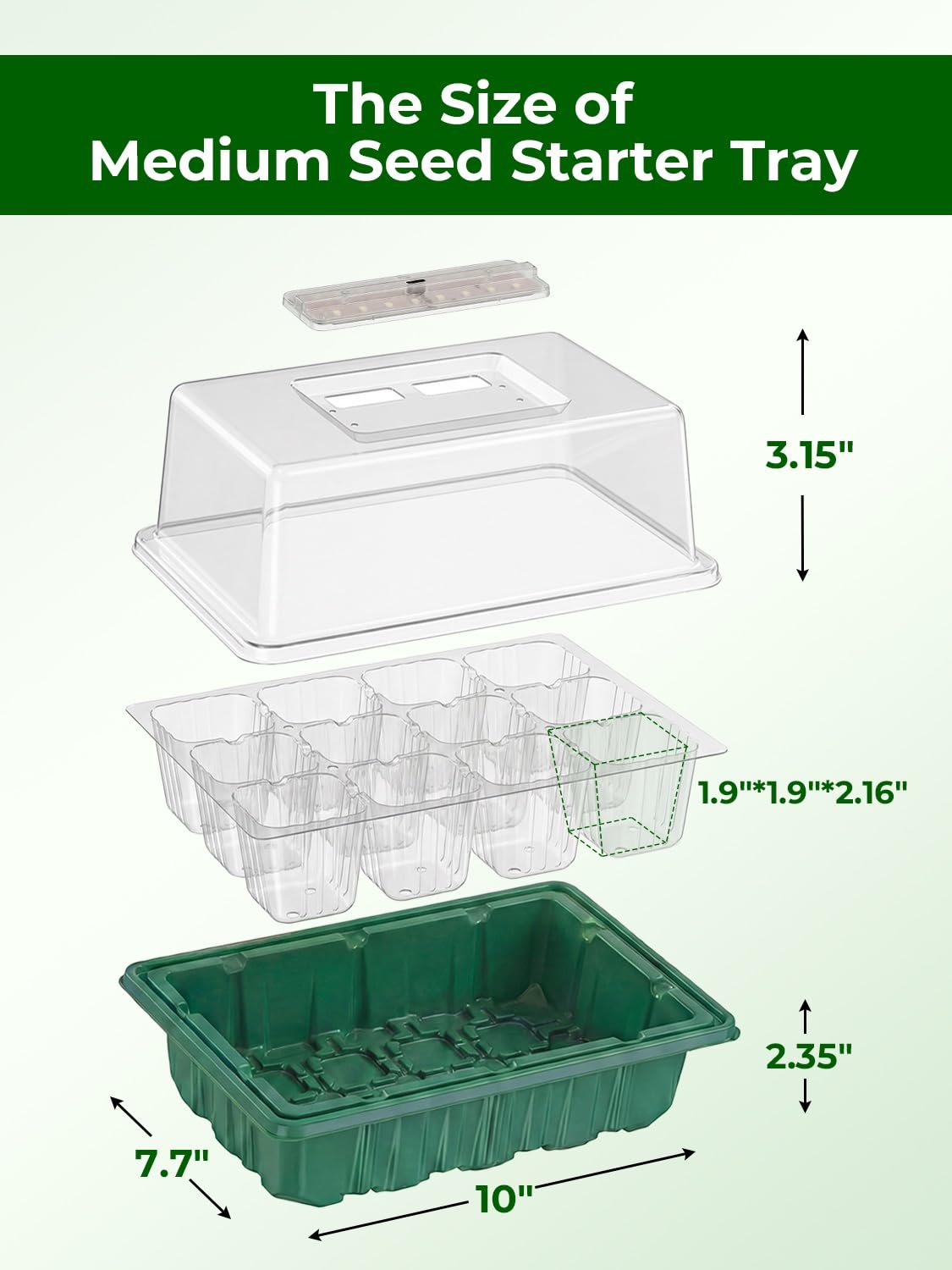 Wuraire seed starter tray with drainage holes supports balanced moisture