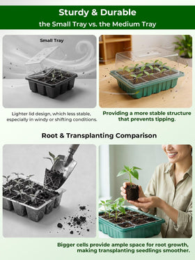 Wuraire ventilation openings promote air flow around seedlings