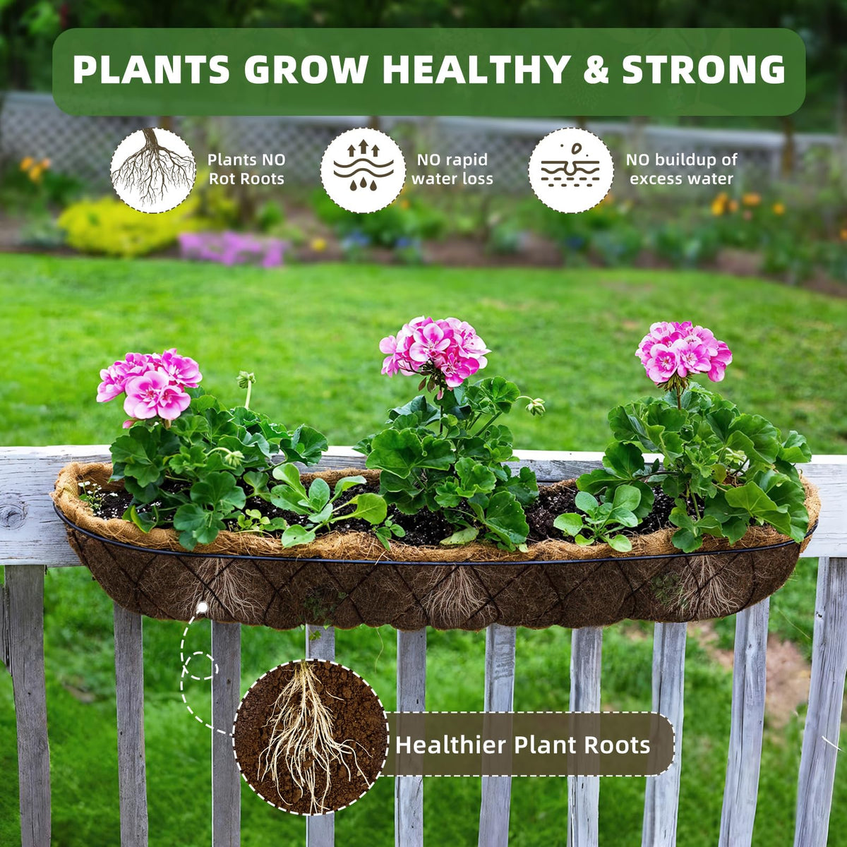 Wuyusile window box setup highlights natural coconut fiber and moisture balance.