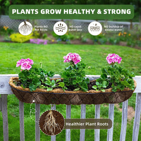 Wuyusile window box setup highlights natural coconut fiber and moisture balance.