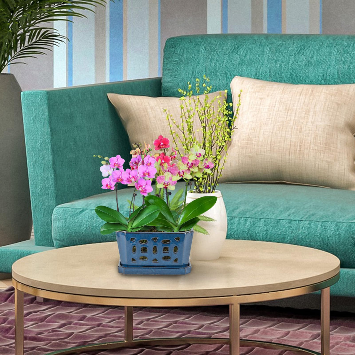 W&W orchid pot complements a variety of repotting setups with its balanced shape.