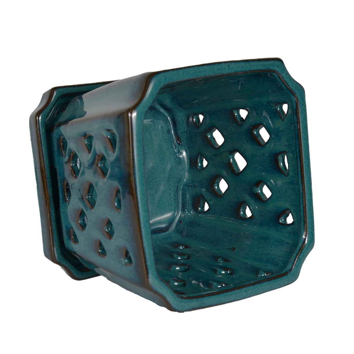 W&W orchid pot with drainage holes helps prevent soggy soil.