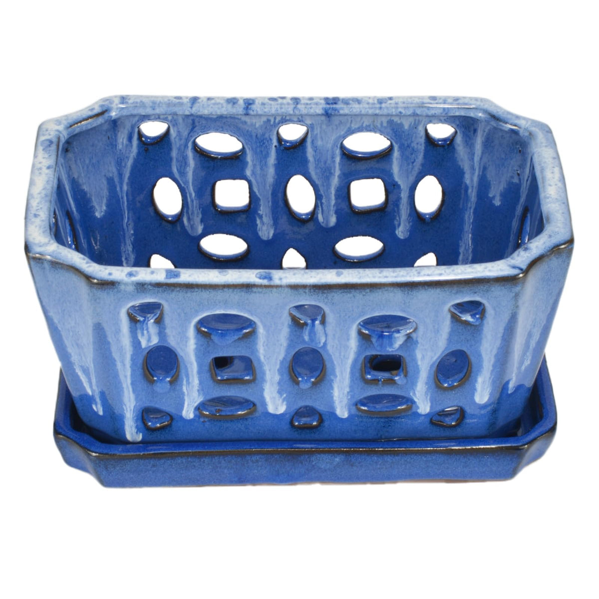 W&W durable ceramic orchid pot for long-lasting repotting use.