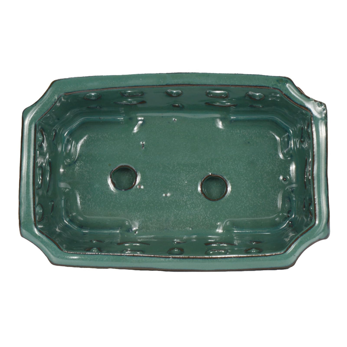 Perfect for repotting orchids in a compact 9.7-inch form