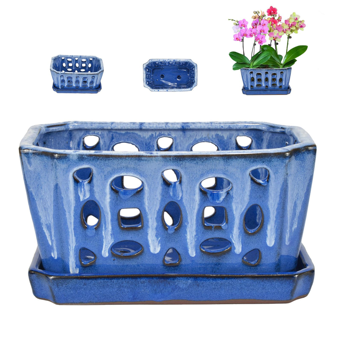 W&W orchid pot with holes and saucer highlights drainage for healthy roots.