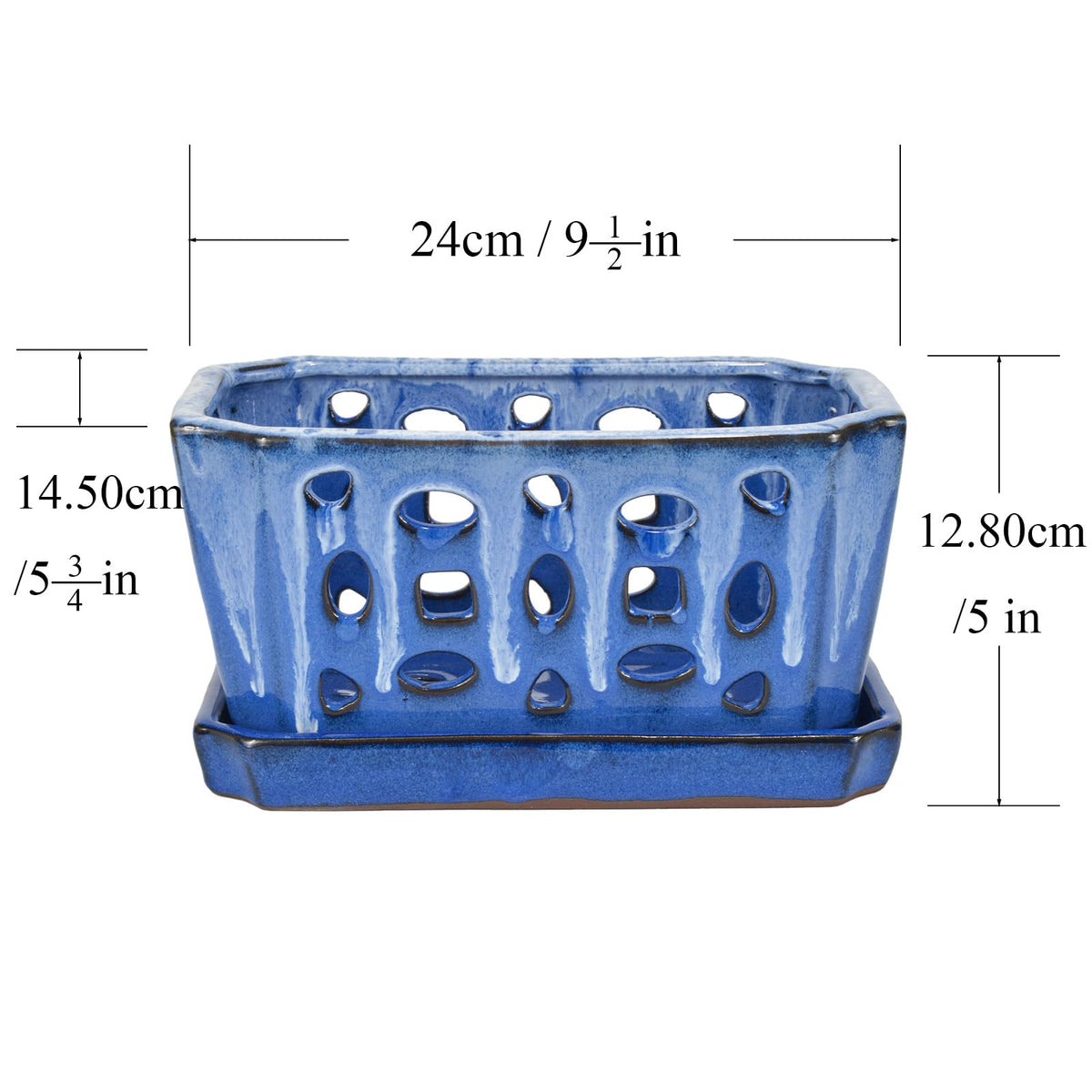 W&W repotting-friendly planter supports healthy orchid roots and fresh soil.