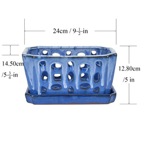 W&W repotting-friendly planter supports healthy orchid roots and fresh soil.