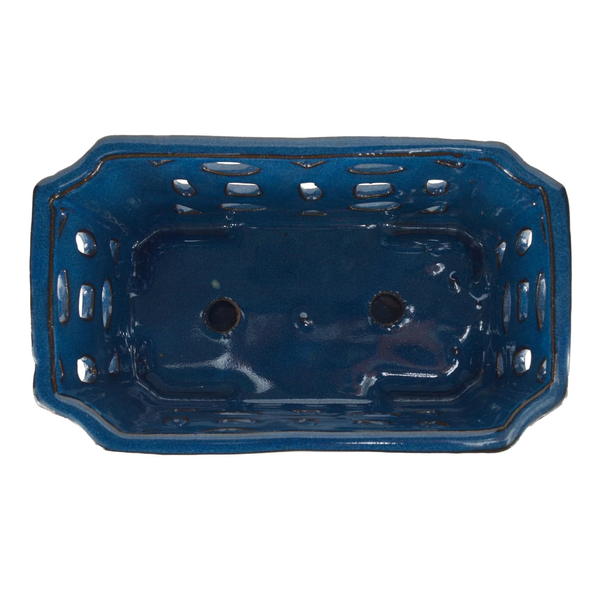 W&W blue pot includes a saucer to catch excess water neatly.