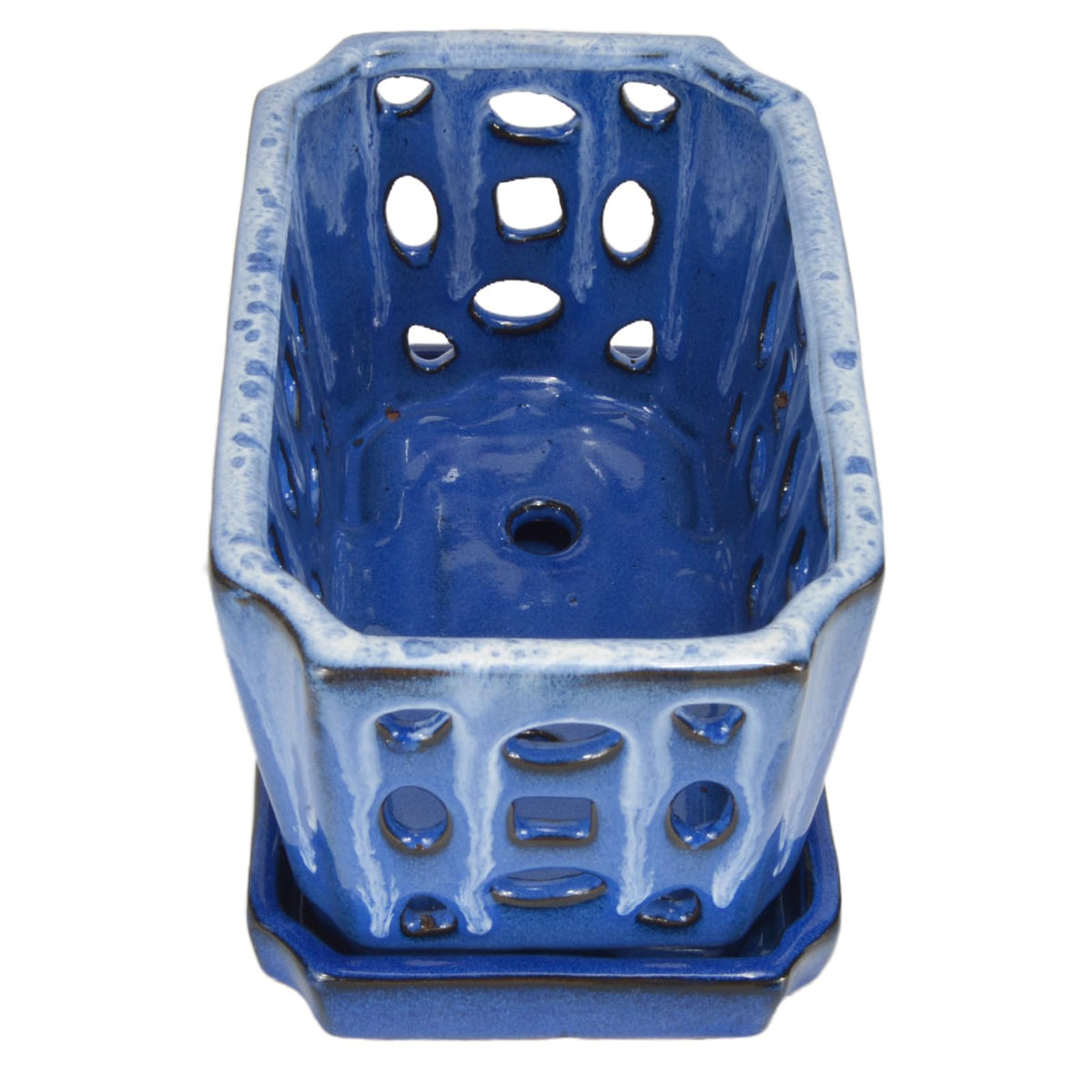 W&W orchid pot white blue colorway complements interiors and plants.