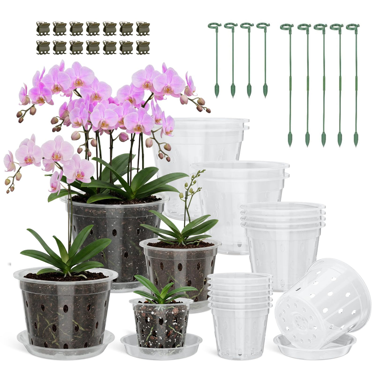 Wyegey clear orchid pot 4-inch showing drainage and root visibility for easy care