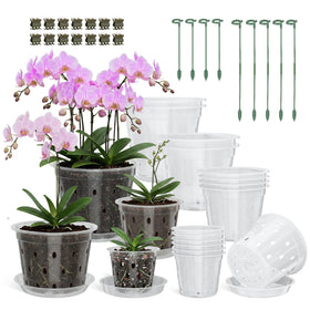 Wyegey clear orchid pot 4-inch showing drainage and root visibility for easy care