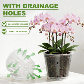 Wyegey clear orchid pot 5-inch shows roots clearly for moisture monitoring