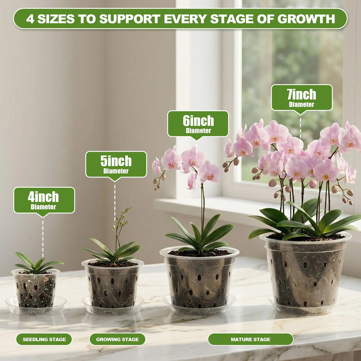 Wyegey clear orchid pot 6-inch designed for healthy root moisture and aeration
