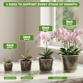 Wyegey clear orchid pot 6-inch designed for healthy root moisture and aeration