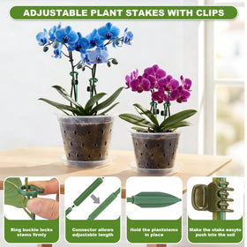 Wyegey orchid stake set provides stable support for upright growth