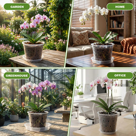 Wyegey packaged orchid pot set for versatile indoor outdoor use