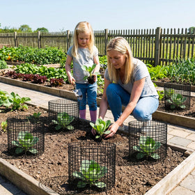 Wyegey vinyl-coated cages offer rust-resistant protection for plants